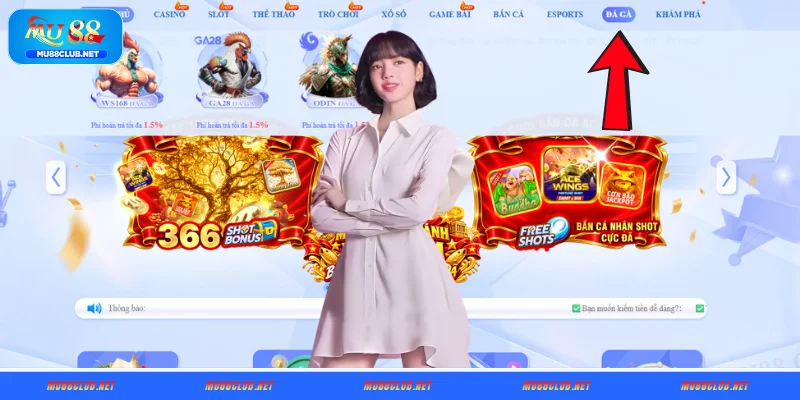 Đôi nét về đá gà MU88