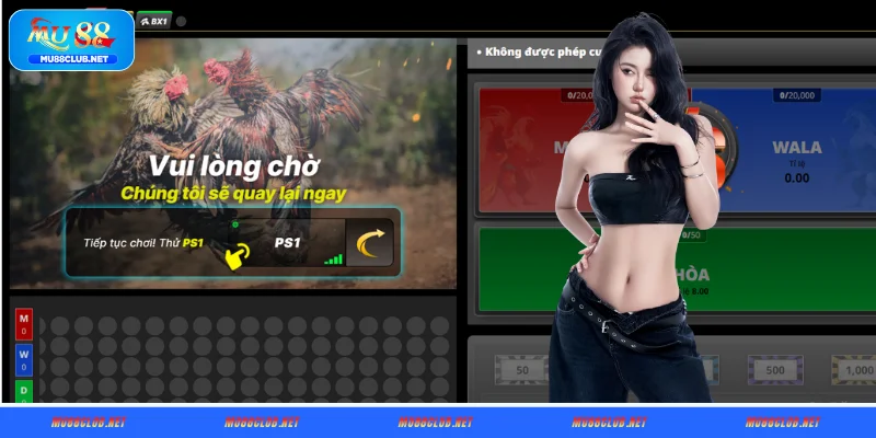 Khám phá những sảnh đá gà nổi bật tại MU88